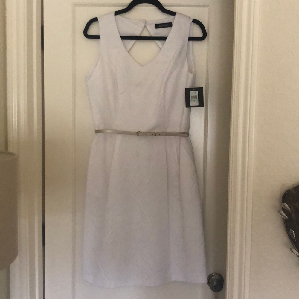 New! Ellen Tracy Belted Shirt Waist Dress